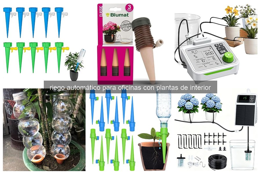 Cómo Instalar Riego Automático para Plantas de Interior