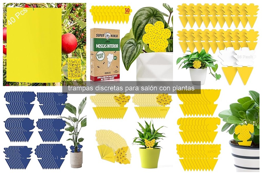 Cómo instalar trampas discretas para insectos en el salón