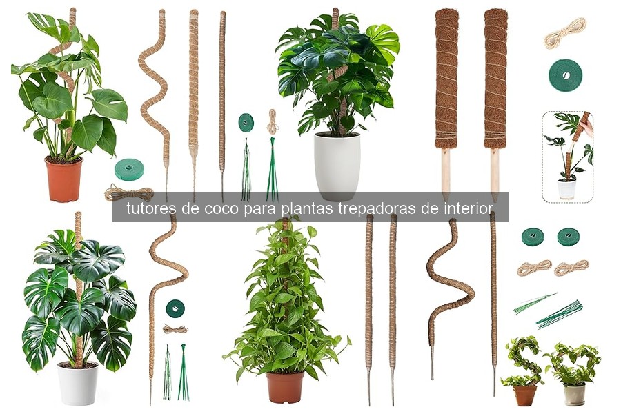 Cómo instalar tutores de coco para plantas trepadoras