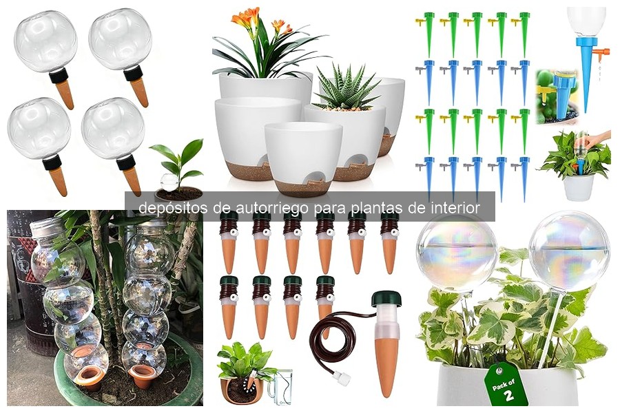 Cómo Instalar un Depósito de Autorriego para Plantas de Interior