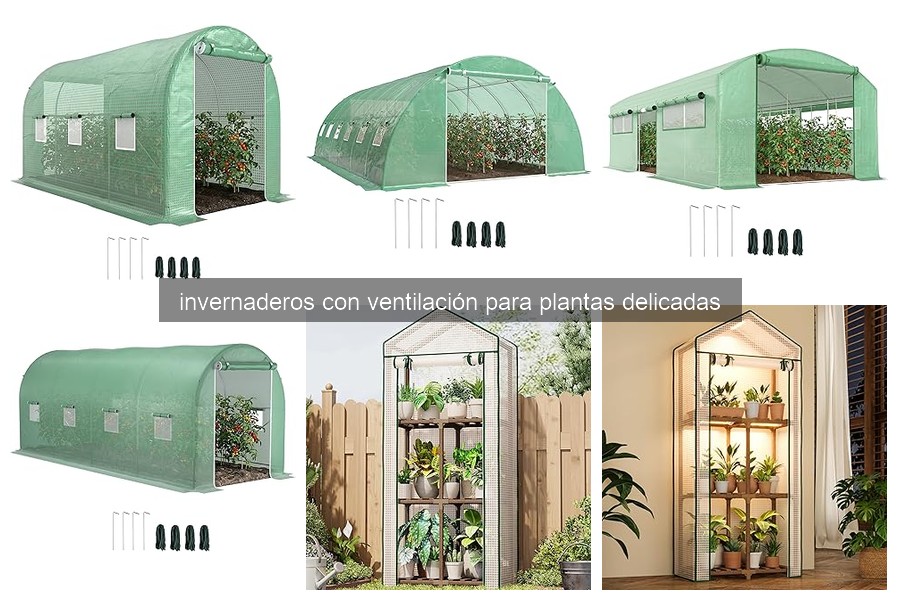 Cómo instalar un invernadero con ventilación de forma eficaz