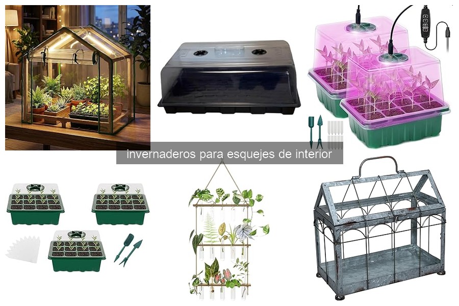 Cómo instalar un invernadero para esquejes de interior