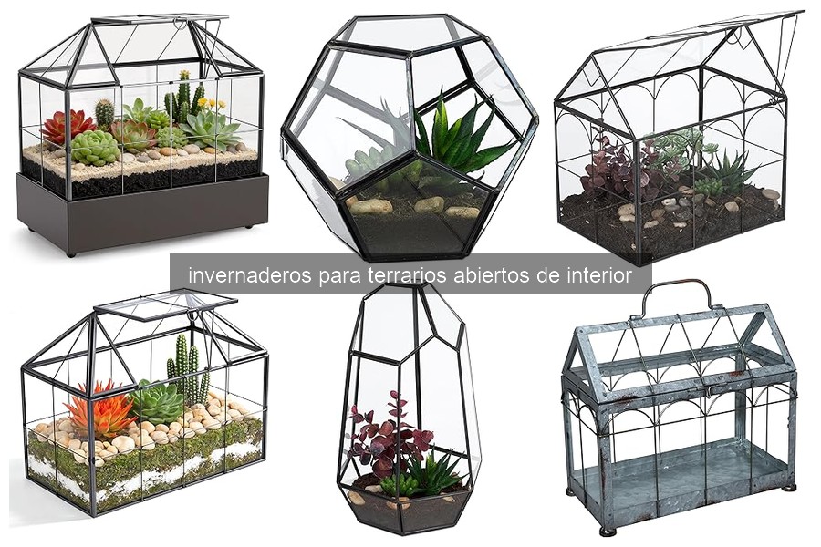 Cómo instalar un invernadero para terrarios abiertos