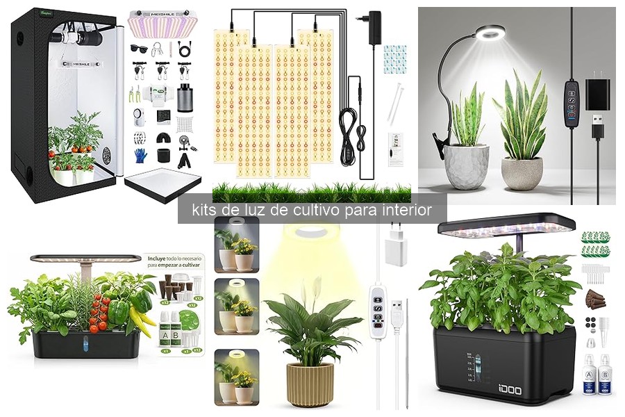 Cómo instalar un kit de luz de cultivo en casa fácilmente