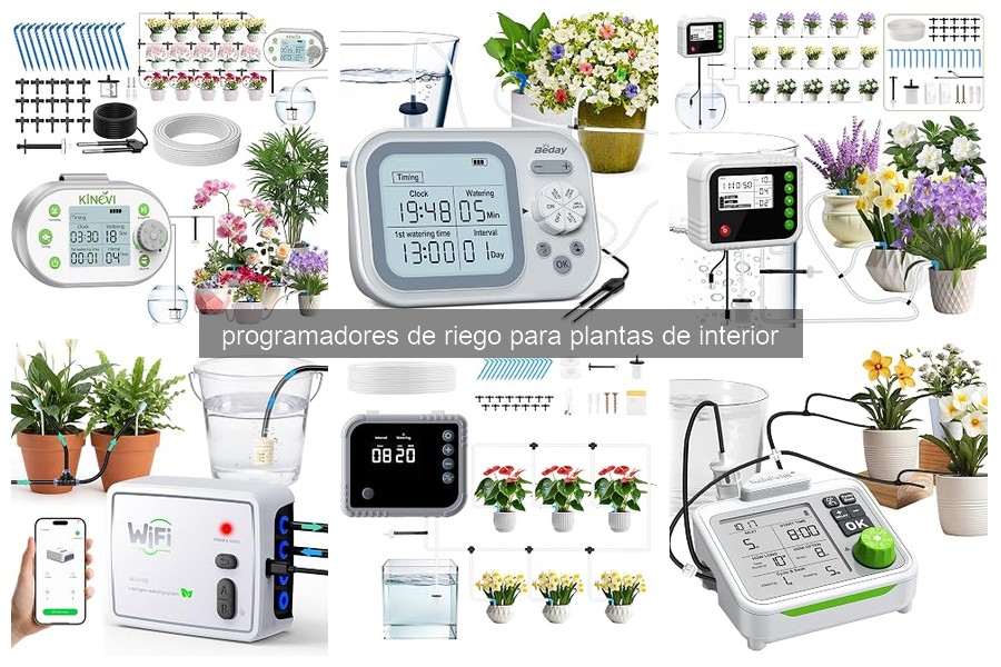 Cómo instalar un programador de riego para plantas de interior