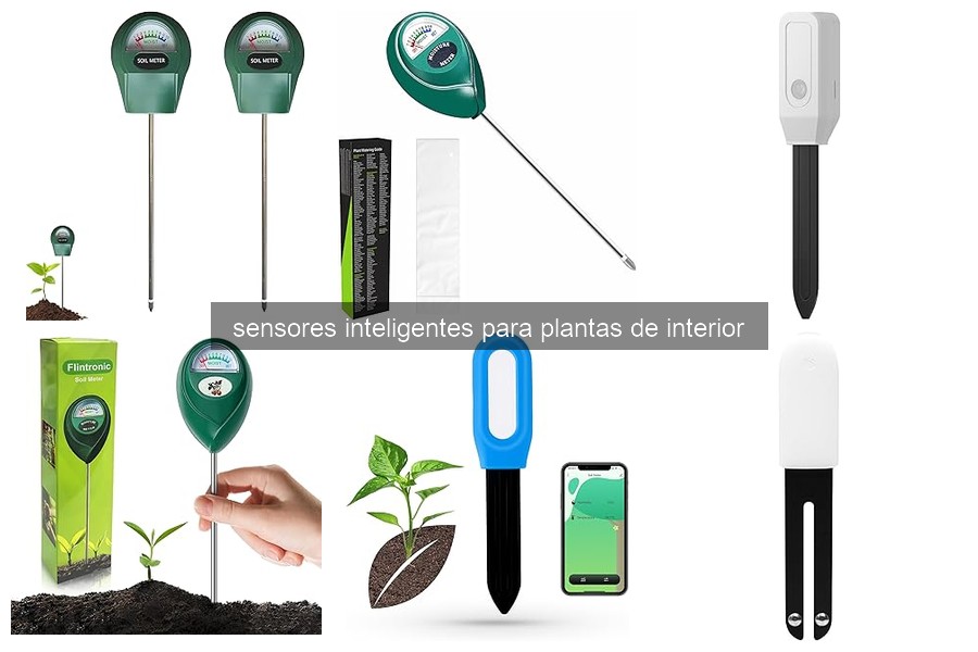 Cómo instalar un sensor inteligente para plantas de interior