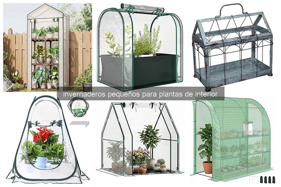 Cómo instalar y mantener un invernadero pequeño para plantas