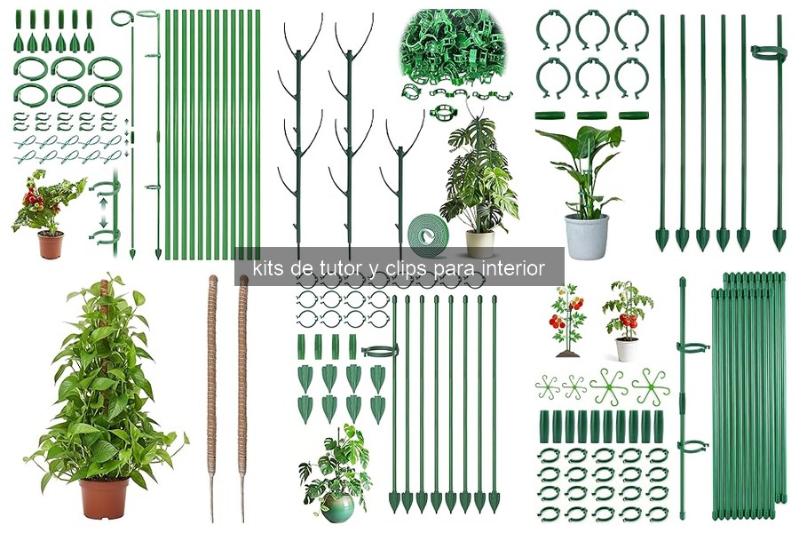 Cómo instalar y usar kits de tutor y clips para plantas