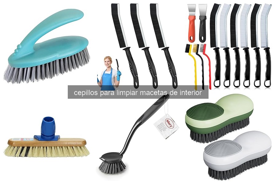Cómo limpiar macetas de interior con cepillos eficaces