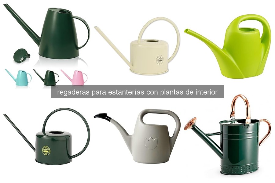 Cómo mantener en buen estado tu regadera para plantas de interior