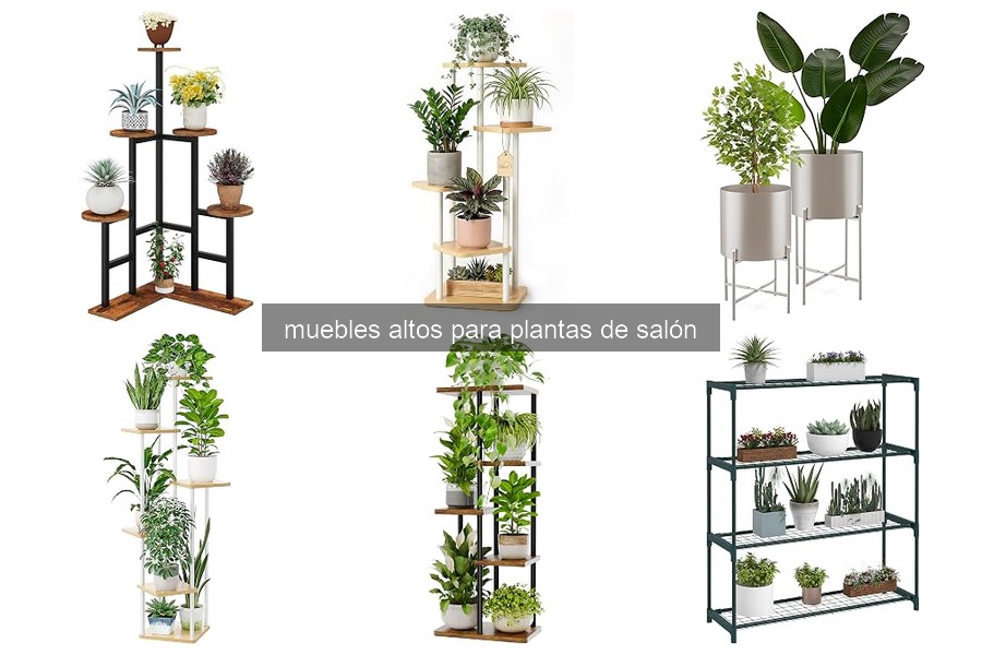 Cómo organizar plantas en muebles altos: consejos prácticos