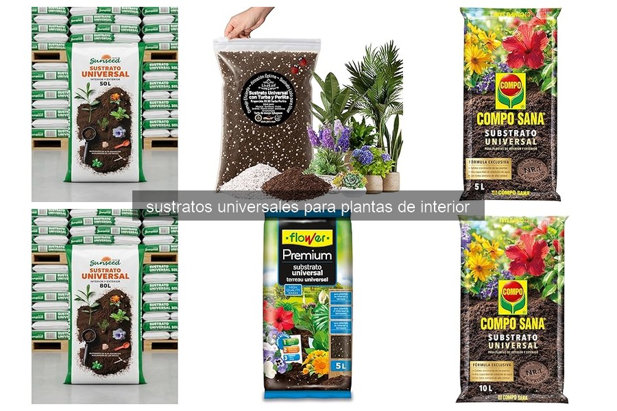 Cómo preparar sustrato universal para plantas de interior
