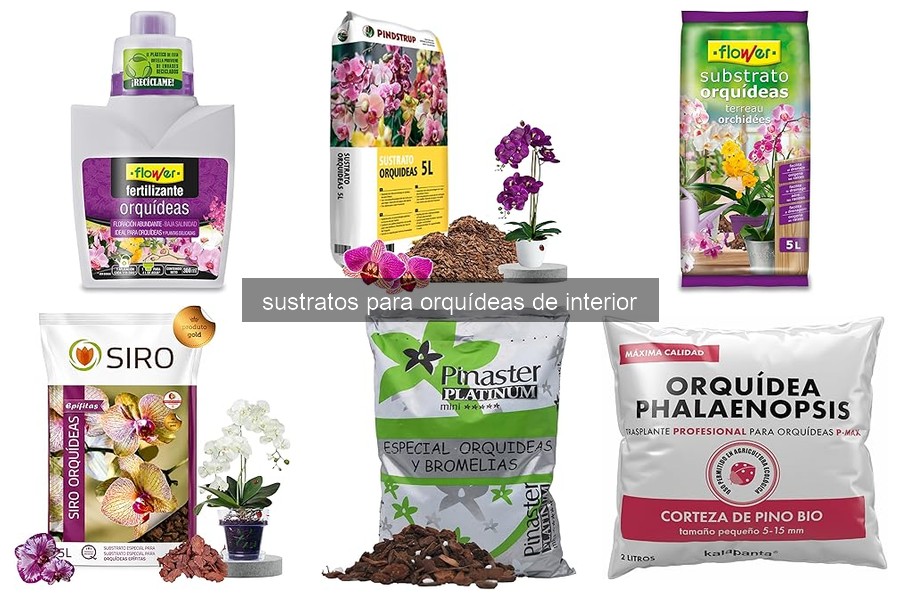 Cómo preparar y utilizar sustrato para orquídeas en casa