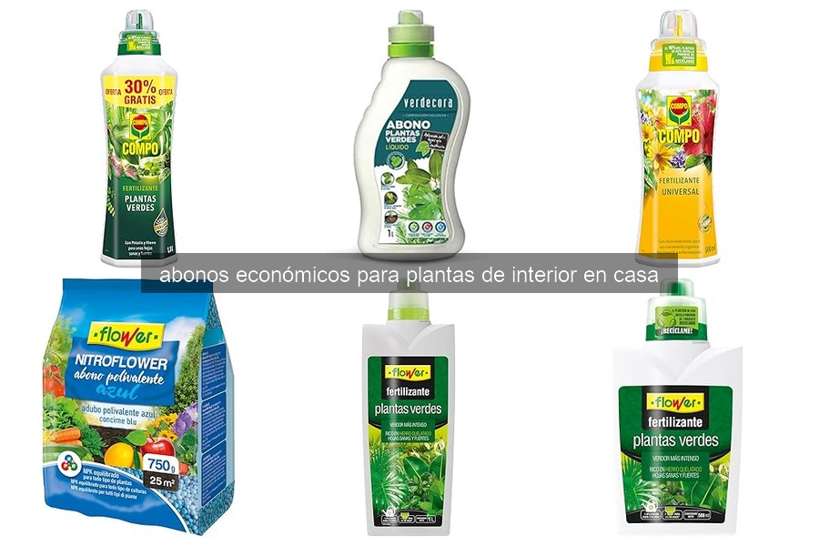 Cómo usar abonos económicos para plantas de interior