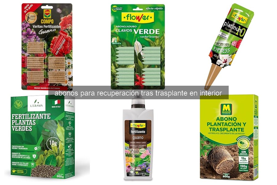 Cómo usar abonos para la recuperación de plantas tras el trasplante