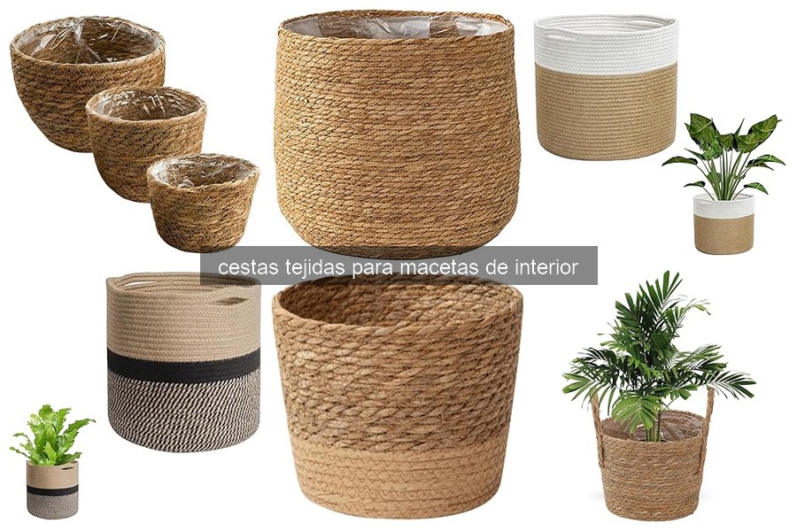 Cómo Usar Cestas Tejidas para Macetas de Interior