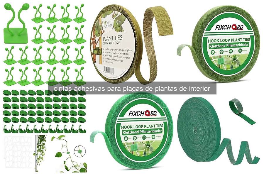 Cómo usar cintas adhesivas para plagas en plantas de interior