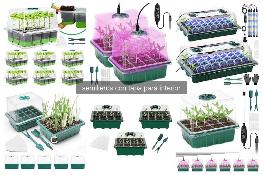 Cómo usar correctamente un semillero con tapa para tus plantas
