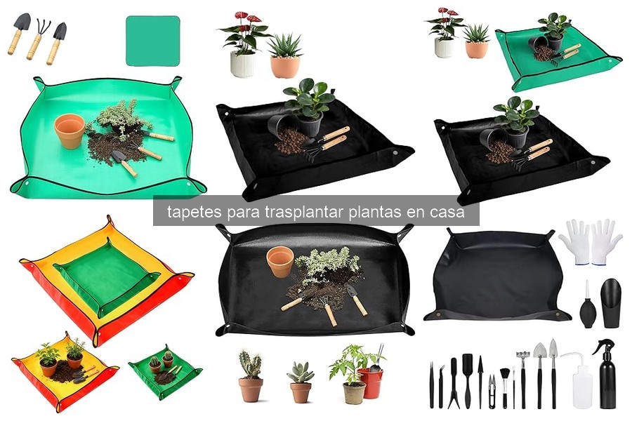 Cómo usar correctamente un tapete para trasplantar plantas