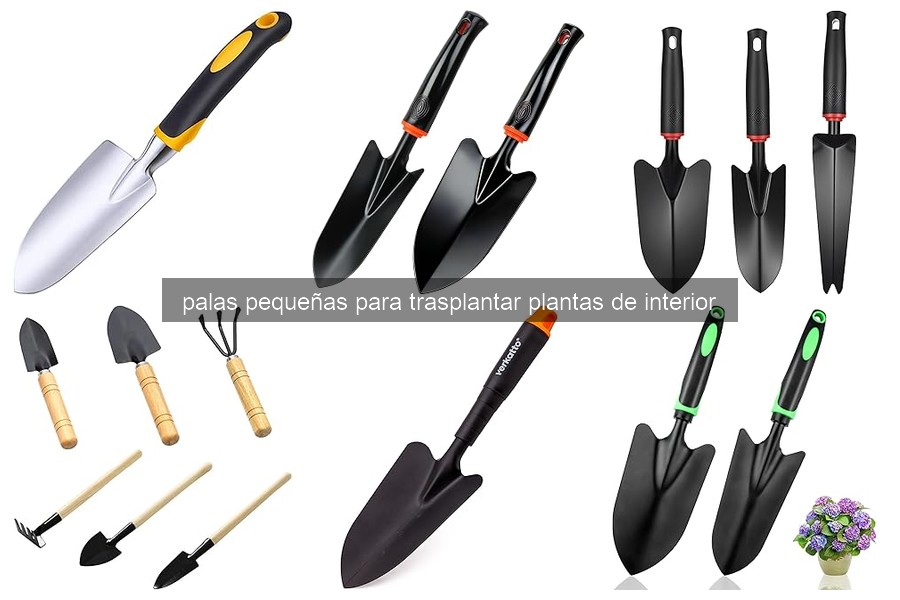 Cómo usar correctamente una pala pequeña para trasplantar plantas