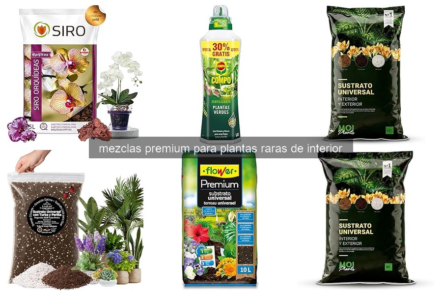Cómo usar mezclas premium para plantas raras de interior