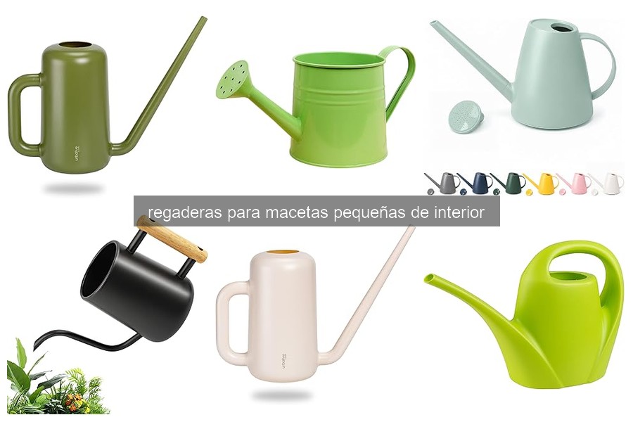 Cómo usar regaderas para macetas pequeñas correctamente