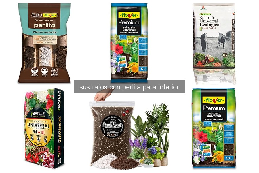 Cómo usar sustrato con perlita para tus plantas de interior