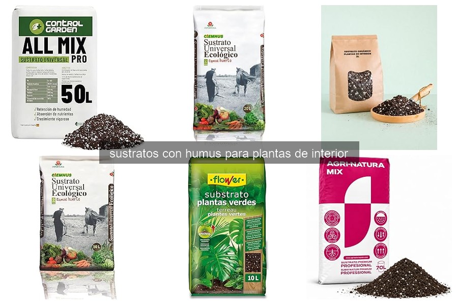 Cómo usar sustratos con humus para plantas de interior