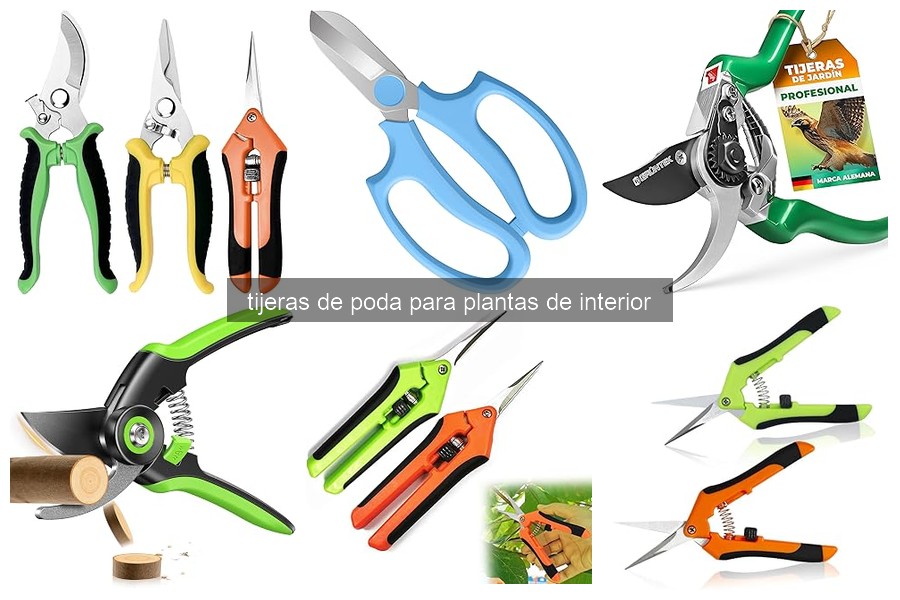 Cómo usar tijeras de poda en plantas de interior