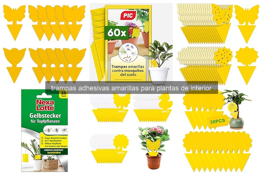 Cómo usar trampas adhesivas amarillas en plantas de interior