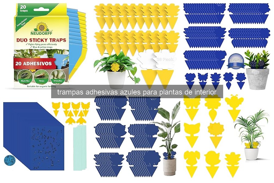 Cómo usar trampas adhesivas azules para plantas de interior