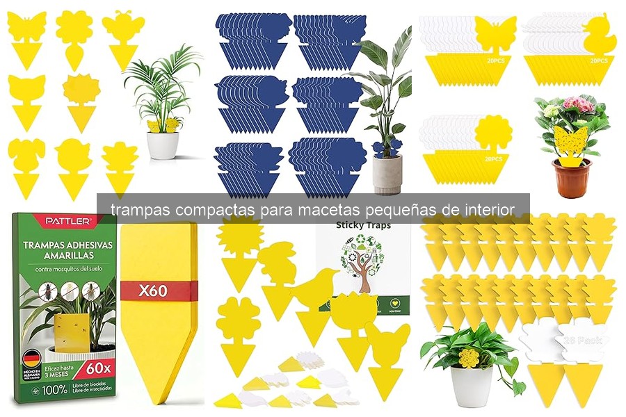 Cómo usar trampas compactas en macetas pequeñas de interior