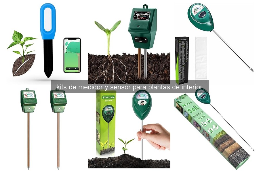 Cómo usar un kit de medidor y sensor para tus plantas de interior