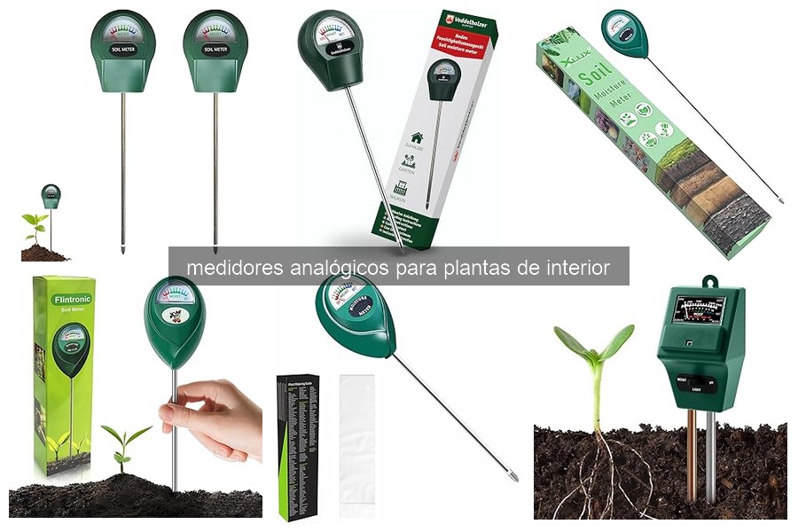 Cómo usar un medidor analógico para plantas de interior