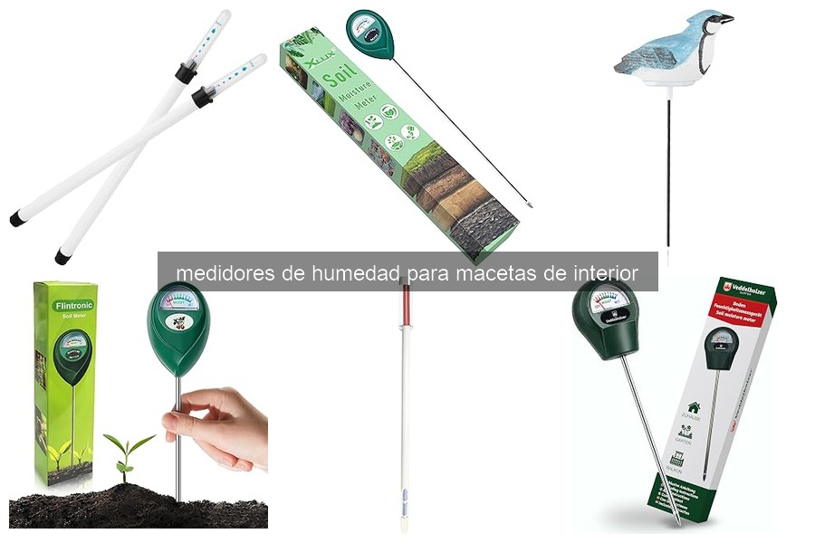 Cómo usar un medidor de humedad para macetas de interior