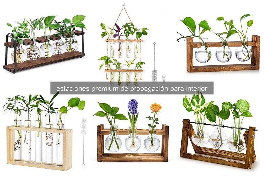 Cómo usar y mantener estaciones de propagación de plantas