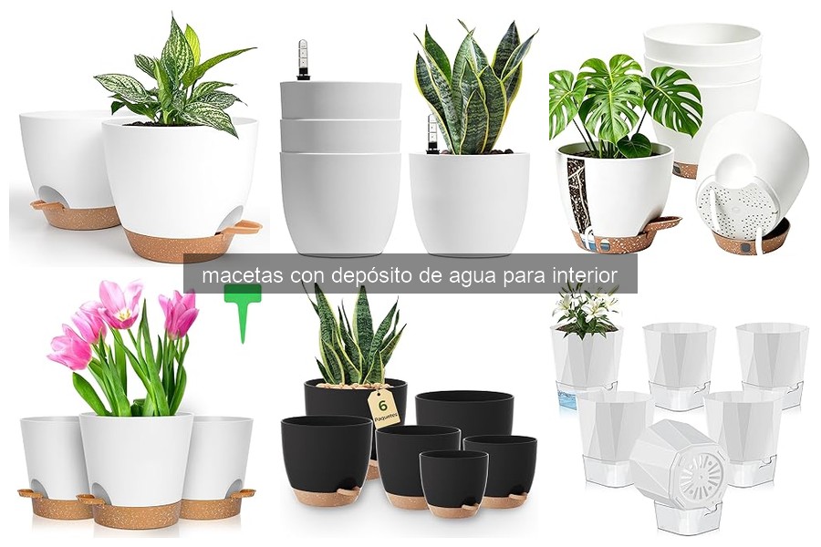 Cómo usar y mantener macetas con depósito de agua