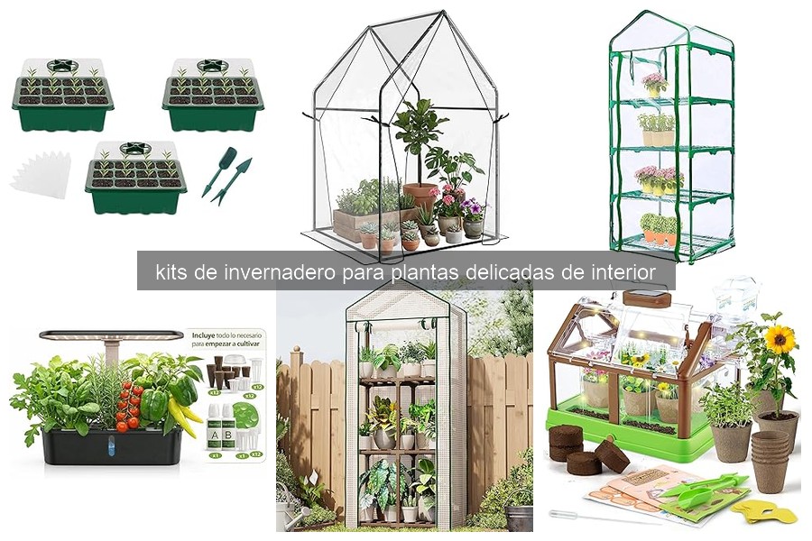 Cómo usar y mantener un kit de invernadero para plantas