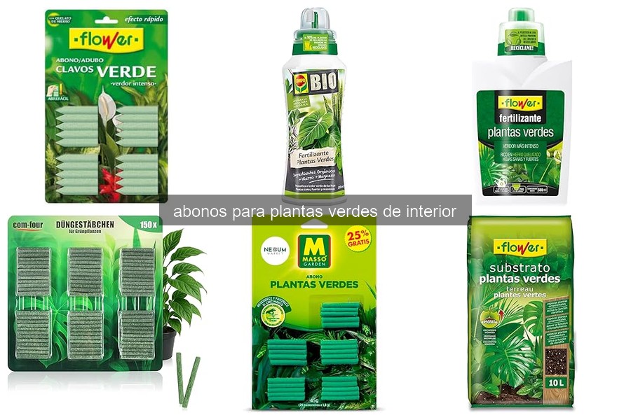 Cómo utilizar abonos para plantas verdes de interior