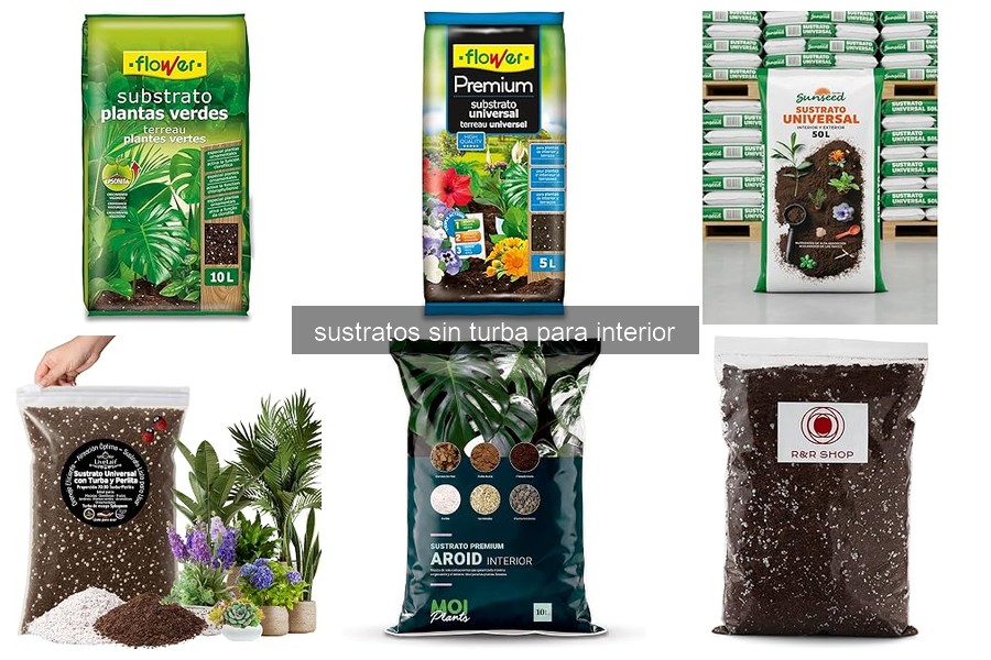 Cómo utilizar sustratos sin turba para tus plantas de interior