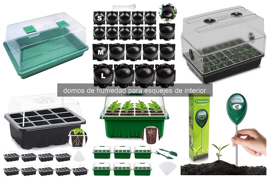 Cómo utilizar un domo de humedad para esquejes correctamente