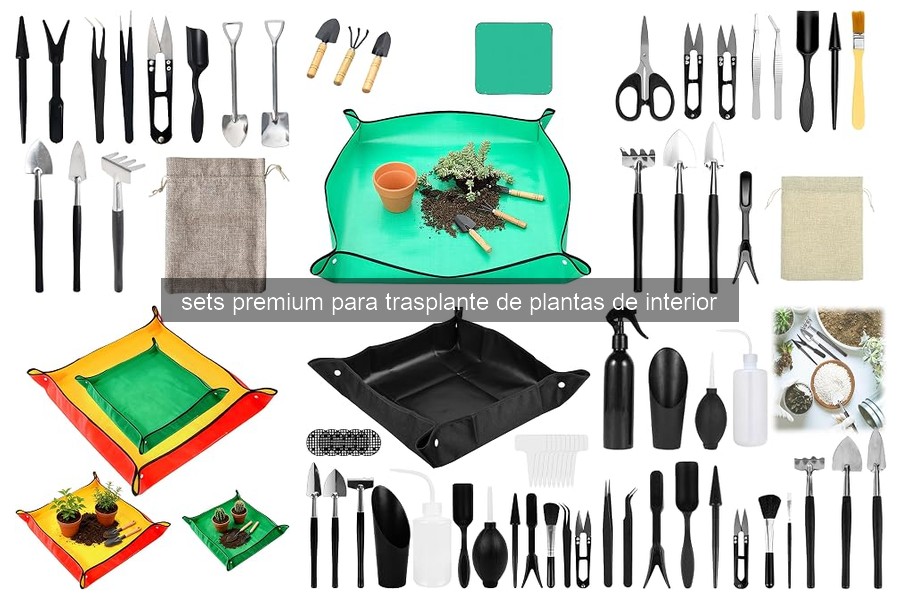 Cómo utilizar un set premium para trasplante de plantas