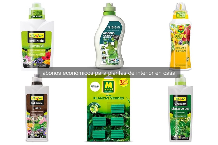 Comparativa de Abonos Económicos para Plantas de Interior 2026