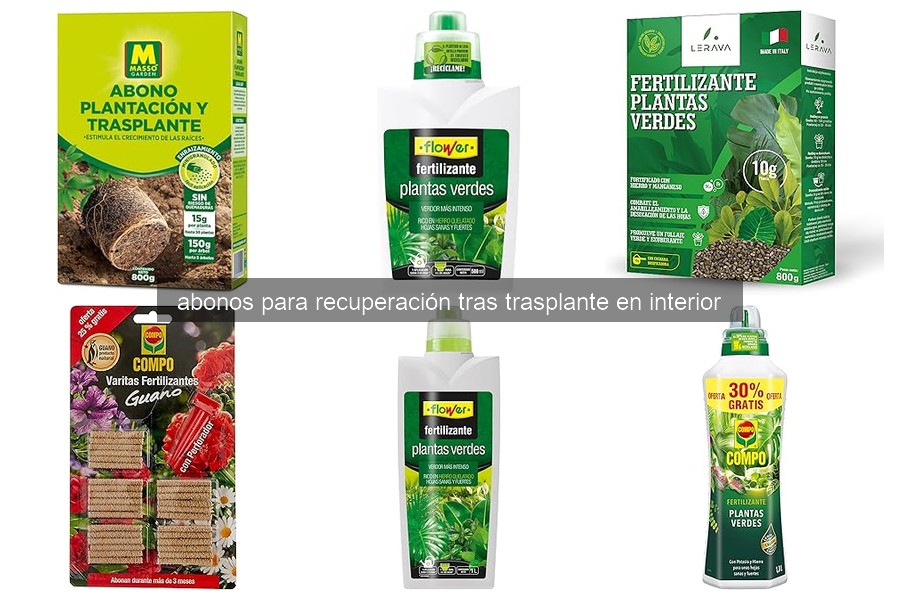 Comparativa de Abonos para Plantas de Interior Tras el Trasplante