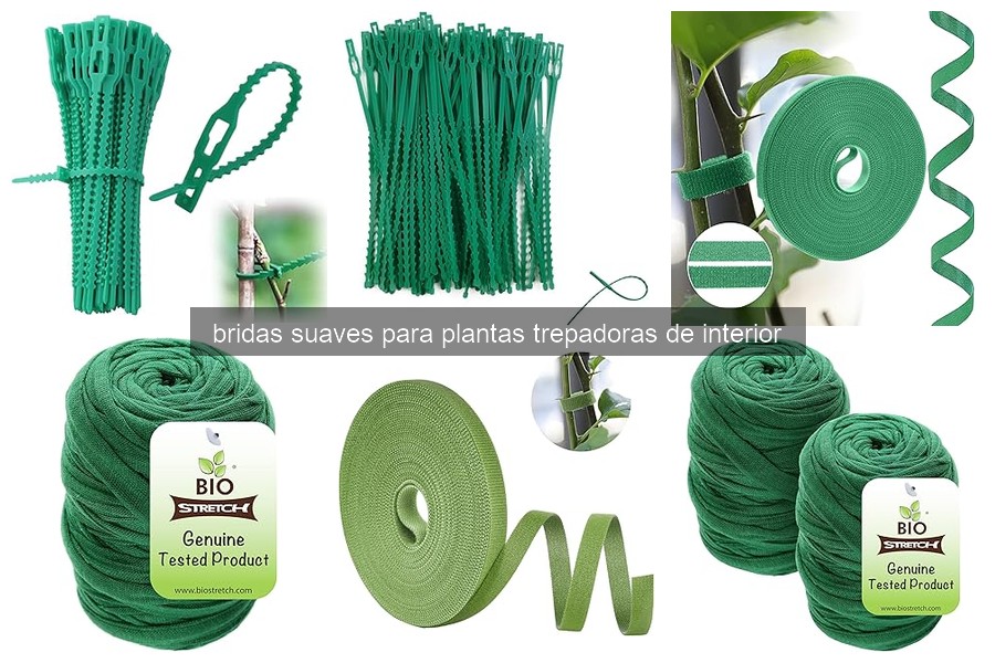 Comparativa de Bridas Suaves para Plantas Trepadoras