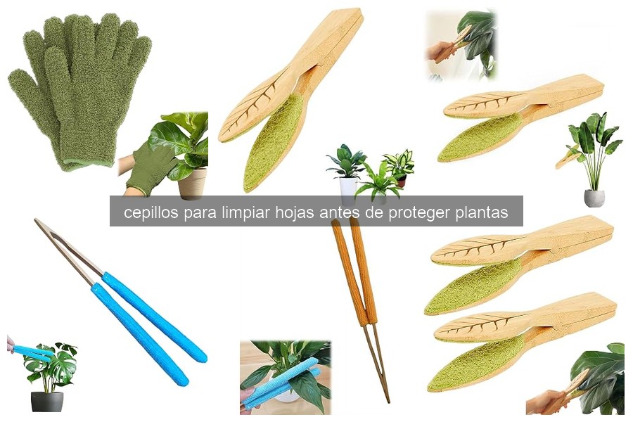 Comparativa de Cepillos Manuales vs. Eléctricos para Plantas