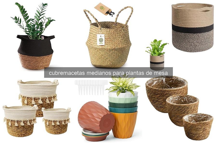 Comparativa de cubremacetas medianos para plantas de mesa