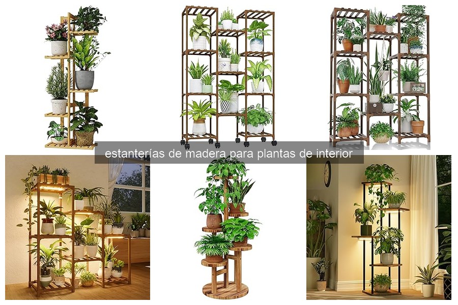 Comparativa de Estanterías de Madera para Plantas de Interior