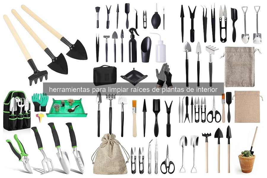 Comparativa de herramientas para limpiar raíces de plantas