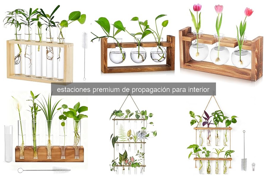 Comparativa de las Mejores Estaciones Premium de Propagación